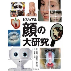 비주얼 얼굴의 대형 연구, 단일옵션, 단일옵션
