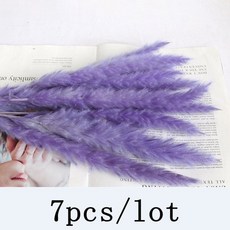 a6cc9d85e53604e30d971448238372ba05bacf57eaea4a9320ee0abff363.jpeg