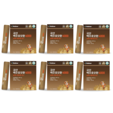 웰스터 국산 맥주효모환 4000 4.2g x 30포 x 6박스, 126g, 6개