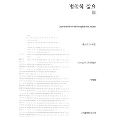 법철학의이론과쟁점