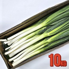 [산지명인] 직수입 손질 대파 깐대파 업소용 식자재용, 1개, 10KG