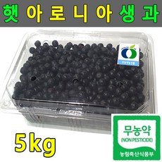 아로니아 생과 10kg 국산 햇아로니아 줄기제거 5kg, bobhouse7 생과10kg