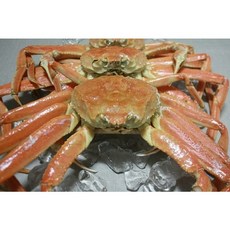 활 자숙 러시아 마가단 대게 3kg S급