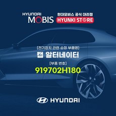 알터보강