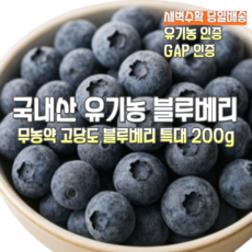 [산지직송] 국내산 25년 새벽수확 당일배송 유기농 무농약 고랭지 고당도 햇 블루배리 특대. 가정용 선물용, 1박스, 새벽수확 유기농 무농약 고당도 블루베리 특대 200g