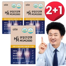 MSM 2000 엠에스엠 식이유황 관절 연골 뼈 골다공증 알레 1100mg, 3개, 66g