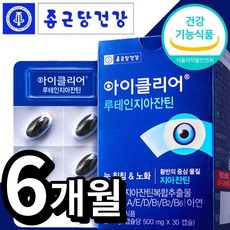 식약처 인정 종근당 건강 루테인 지아잔틴 식약청 인증 식물성 미니 캡슐 알작은 눈 노화 도움 종건당 정근당 루데인 루태인 루테린 류태인 누태인 뉴테인 지아잔티 지아자틴 알약케이스, 30정, 6개