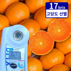 [맛없음환불] 선과장직송 로얄 레드향 천혜향, 1박스, 2kg(가정용)