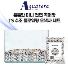 펠티어어항