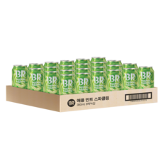 배스킨라빈스 애플 민트 제로 탄산, 350ml, 24개