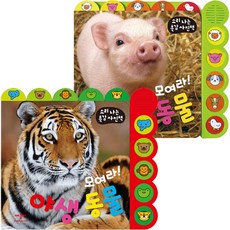 동물소리그림책