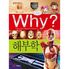 Why 과학 해부학 초등 학습만화 시리즈 책