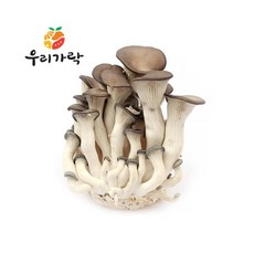 신선채소 영양만점 느타리버섯 2kg, ONE COLOR, ONE SIZE