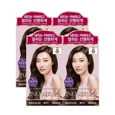 려새치염색약 TOP01