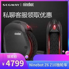 외발전동휠 나인봇 원 z10 z6나인보 몬스터 모터사이클 밸런스 고성능 크로스컨트리, 01 z6[현품], 오류 발생시 문의