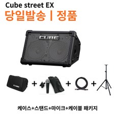 [도노뮤직] 롤랜드 큐브스트리트 EX ROLAND CUBE STREET EX 버스킹 기타 건반 앰프 CUBE 스피커 / 야외 무대 라이브 공연용 연습용