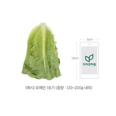 bde12b19be26dfe3926e50ca97b91d78aae5e77ff319c71040a6677cda18.jpg