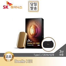 SK하이닉스 Beetle X31 Portable SSD 1TB DRAM 탑재 / 전용 케이스, 골드