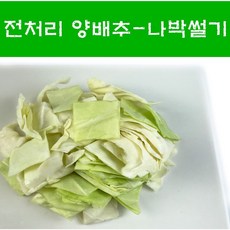 햇양배추