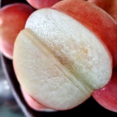 반납작 복숭아 대극천 2kg 대과 16과내외, 1, 본상품선택