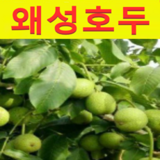 59ff3dcdb21b70cc4230cf172ce7f793ca4e933ab4c7a0f1c330df82563d.png