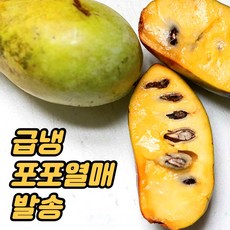 농장직송 고당도 고급형 포포열매 건강식 과일 부모님 선물 이색과일, 1박스, 1kg(5~6과), 포포열매_대과