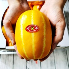 성주참외당도보장10kg