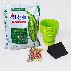재배소년