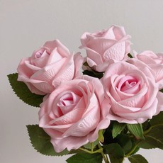e509ca87d24d2a38c2400cf92409a1b174e654bb451e7cc7c58d8f68d7fe.jpg