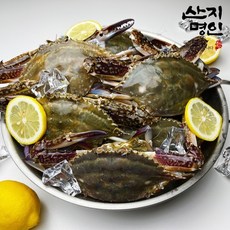[산지명인] 태안 자연산 활꽃게 2kg 6-10미 제철 숫꽃게 빙장포장, 숫꽃게 2kg 6-10미