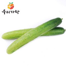 오이한박스