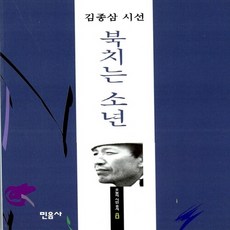김종삼매혹시편