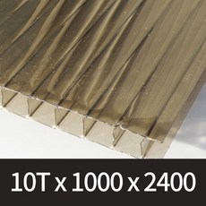 복층렉산10t