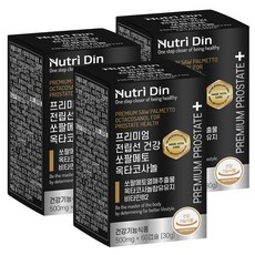 전립선비대증약