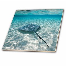 CT_73262_4 CAYMAN ISLANDS CARIBBEAN SEA - CA42 PSO0046 - 폴 SOUDERS - 세라믹 타일 12 인치 (12 Inch), 12 Inch