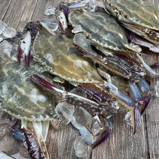 대용량 선상 꽃게 4kg,