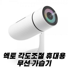 엑토미니가습기