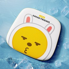 카카오프렌즈쿨매트