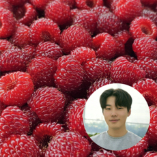 산딸기 냉동과 프리미엄형 GAP인증 [원산지:국산(경상북도 포항시 북구)], 1개, 500g
