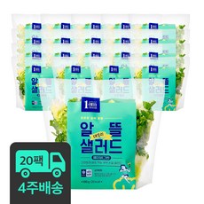 샐러드정기배달