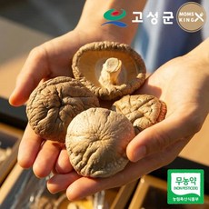 송이뜰농장