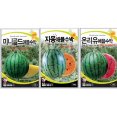 수박 씨앗 이색수박 온리유 미니골드 자몽 애플수박, 온리유애플수박 10립