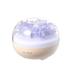파라미불꽃가습기