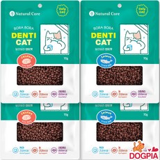 고양이 치아관리 스낵 보라보라 덴티캣, 2개, 140g, 2종 혼합