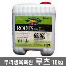 //상품명