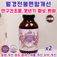 생리전증후군책