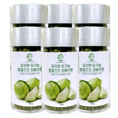 유지앤 유기농 동결건조 양배추환 100g 6개