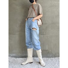 타라바이모션