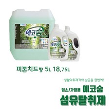 에코숨 피톤치드향 다용도 살균 항균 탈취제 가정 업소용, 5L, 1개