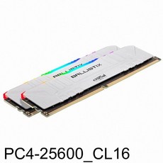 마이크론램16기가